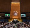 ООН решительно поддержала резолюцию РФ о борьбе с героизацией нацизма
