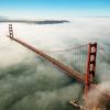 Власти США испытывали биологическое оружие на своем населении (Иллюстрация: sci-hit.com) Иллюстрация: sci-hit.com