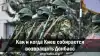 Как и когда Киев собирается возвращать Донбасс