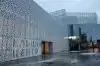 Гнилые плоды 'Ельцин Центра' (Гнилые плоды Ельцин Центра) Гнилые плоды Ельцин Центра
