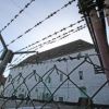Международный день прав человека и Украина