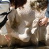 Восточные немцы и Россия: особые отношения (MDR, Германия) (Голова Ленина, часть памятника, стоявшего на одной из центральных площадей Восточного Берлина до 199…) Голова Ленина, часть…