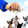 В Африку вместо ЕС: на Украине думают над смещением вектора