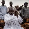 Гамбийский гамбит: Модель внешнего управления африканской страной (Гамбийский гамбит) Гамбийский гамбит