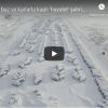 Читатели Daily Mail: в Воркуте —50? Русские выживают где угодно, они стойкие (иллюстрация1 1) иллюстрация1 1