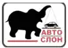 Эвакуатор в Ломоносовском районе. Почему именно этот район СПб славится ДТП? (иллюстрация1 1.jpg) иллюстрация1 1.jpg