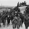 12 мая 1943. Фашистская группировка капитулировала в Тунисе (Пленные итальянцы в Тунисе, 1943 год) Пленные итальянцы в …