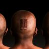 Вероятно, в России скоро вообще не будет денег
