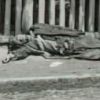 Канадский профессор разоблачает 'голодомор'