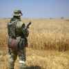 Фермеры Восточной Европы разоряются из-за Украины (© РИА Новости . Алексей Майшев / Сбор урожая пшеницы в Запорожской области) © РИА Новости . Алек…