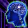 Neuralink Илона Маска получила разрешение на исследования по вживлению чипов в мозг