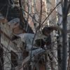 Новости Новороссии. Ситуация на 31.01.2017