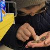 'Введение продуктовых карт - попытка оживить экономику вопреки Центробанку'