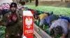 Свобода и демократия в Польше: релокантов-белорусов отправят в ополчения