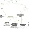 Особенности Марокко и Иордании (Статус независимости бывшей колонии) Статус независимости…