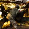 Битва в Селидово: наши войска взяли паузу, в Киеве готовятся к обвалу фронта (Фото: Александр Полегенько/ТАСС) Фото: Александр Поле…