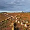 ВСУ: последний бросок на юг?