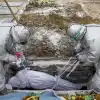 Общество истребления и самоистребления