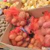 Минсельхоз хочет завозить картофель из других стран, но польза этого неочевидна (Фото: Накануне.RU) Фото: Накануне.RU