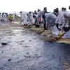 Дельфины гибнут, мешки с мазутом смыло в море: Анапа становится токсичным курортом (На фото: волонтеры во время сбора разлитого мазута на пляже. 15 декабря 2024 года в Керченском проли…) На фото: волонтеры в…