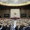 Южная Корея: новогодний импичмент под ёлочку!
