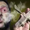 Матерное враньё шута Зеленского, или 'Мыши плакали, кололись, но продолжали есть кактус'