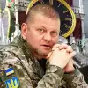 У 'Пидрахуя' отжали вуз, в котором защищал диссертацию Залужный