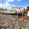 Евросоюз обрекает Африку на голод, вылавливая всю рыбу в прибрежных водах