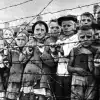 Растоптанные 'цветы жизни'. Кое-что о том Зле, которое мы победили 80 лет назад