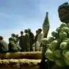 Большая политика и наркотики