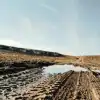 Как кукуруза погубила Средний Запад Америки