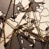 Государству сегодня как воздух нужна философская ясность