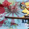 Оккупация Аляски. Как американцы агитировали собак на Кыске в Крысьем архипелаге (Оккупация Аляски. Как американцы агитировали собак на Кыске в Крысьем архипелаге) Оккупация Аляски. Ка…