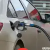 Сезонное дежавю: летний всплеск спроса на бензин ежегодно застает всех врасплох (Фото: Накануне.RU) Фото: Накануне.RU