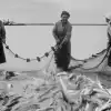 Арал, 1941-1945: чтобы всех поимённо назвать…