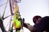Зачем США и Саудовская Аравия демпингуют на рынке нефти (Фото: Joe Raedle / Hulton Archive / Getty Images) Фото: Joe Raedle / H…