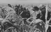 Русский 'Холокост', или Когда 'западные партнеры' утратили моральное право (Итальянские войска на Восточном фронте) Итальянские войска н…