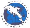 Отчет Фонда 'Город без наркотиков' за декабрь и 2012 год