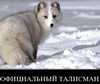 Три простых олимпийские мысли (песец) песец