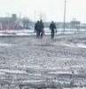 Эффективную экономику на обмане построить нельзя