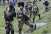 Повстанцы, ополченцы, партизаны…