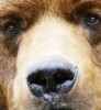 Сила России в её коварной кажущейся слабости…