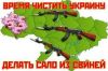 Почему в Новоросии нет партизан? (Время чистить Украину) Время чистить Украину