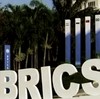 'Страны БРИКС готовы сами начать формировать правила мирового устройства'