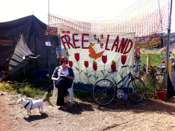 Осcupy Ферма Осcupy Ферма