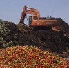 Невинно убиенные продукты. Плюс две тонны икры