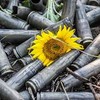 'Минские миротворцы' множат число жертв войны в Донбассе