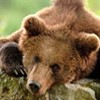 Навстречу юбилейной сессии ГА ООН