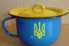 Украина-2016: занавес (украинский чайник) украинский чайник