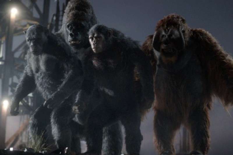 «Цивилизованная» нация Цивилизованная нация